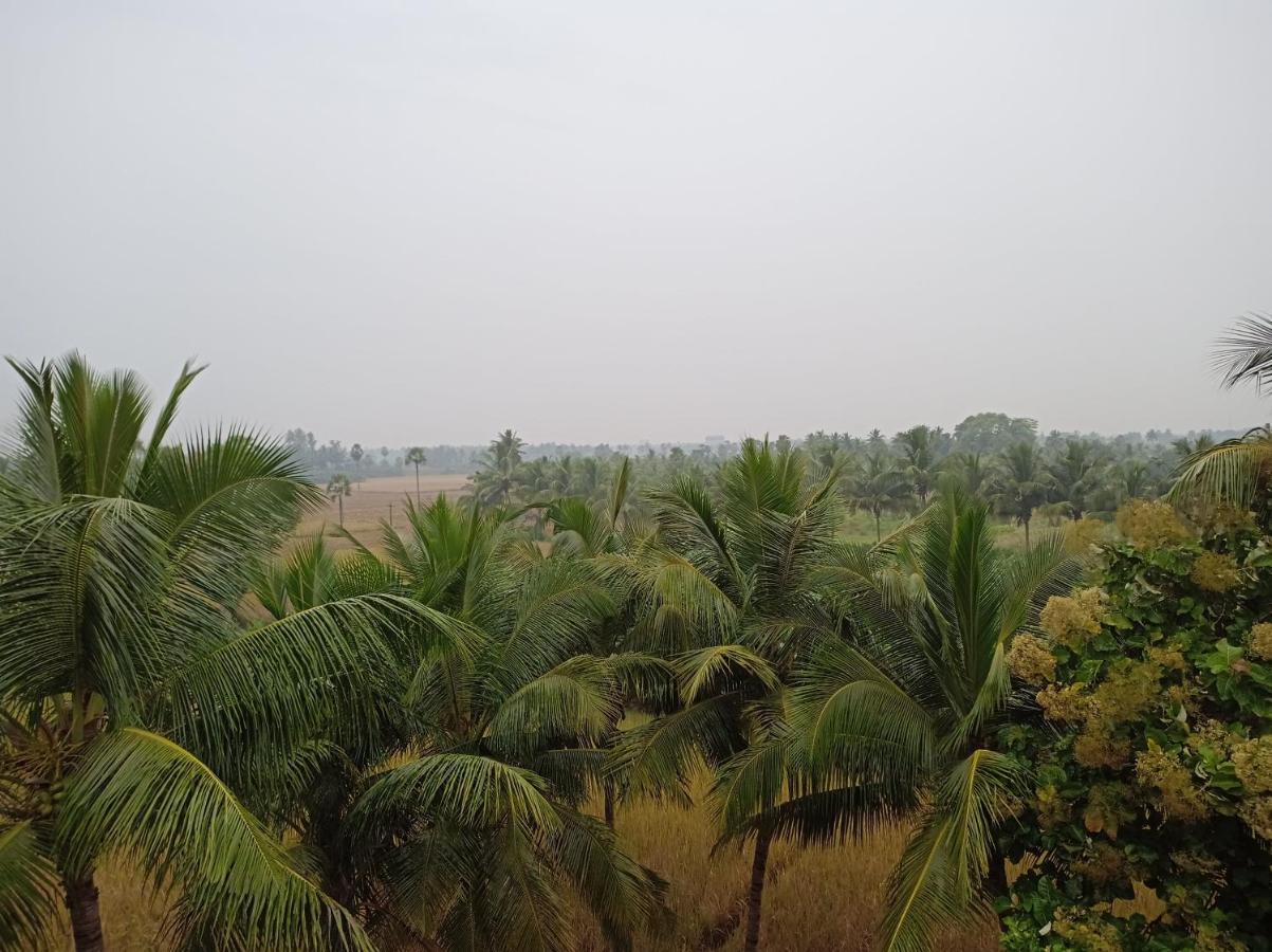 Apartment Gangi Kota North Flat *